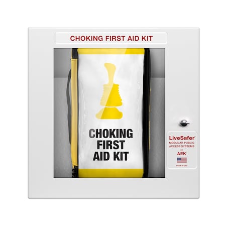 Choking First Aid Kit  LIfeVac Cabinet -  AEK, EN9591